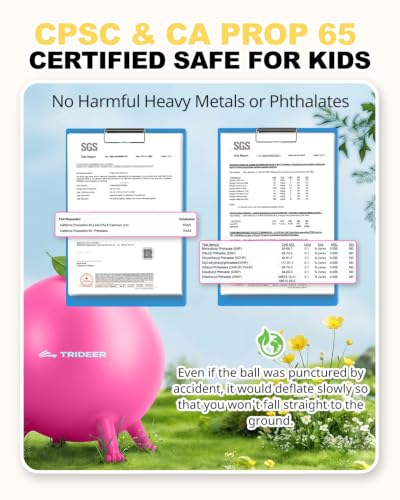 Image of Trideer Flexible Seating for Classroom Elementary, Yoga Ball Chairs for Kids, Wobble Chair of School Supplies for Sensory Kids, Student Desk Chairs for Homeschool (Pink, 55cm)