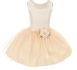 Little Girls Adorable Lace Pearl Taffeta Tulle Mesh Flowers Girls Dresses