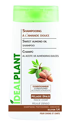 SHAMPOOING Amande Douce 250 ML IDÉAL PLA Cover