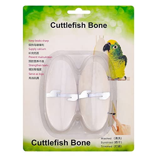 Fuyamp 2 Pcs Oiseaux Os De Seiche Jouets À Mâcher Perroquet Os De Seiche avec Support en Métal Os De Seiche Naturel pour Reptiles Tortues Escargots Perruches Calopsittes Cover