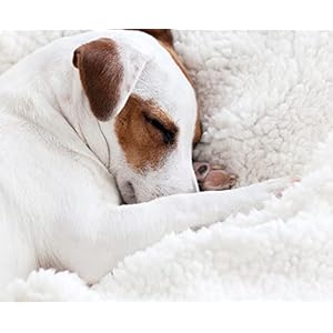   Grey-Large-Dog-Blanket-Super-Soft-Fluffy-Sherpa-Fleece-Dog-Couch-Blankets-and-Throws-for-Large-Medium-Small-Dogs-Puppy-Doggy-Pet-Cats-50x60-inches
