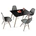 H.J WeDoo Ensemble à Manger 1 Table et 4 Chaises Style Scandinave Ensemble Table et Chaise Scandinave, pour Salle à Manger, Cuisine, Restaurant, Balcon