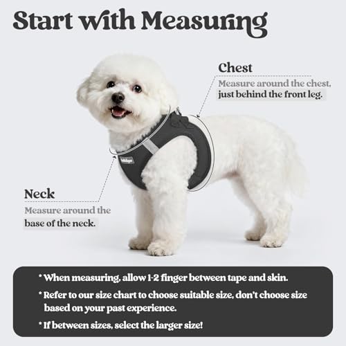 rabbitgoo Step-In Harness & Leash Set (Black, M) — view 2