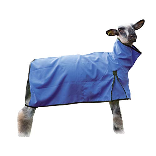 Image of Weaver Livestock Sheep Blanket, Mesh Butt, Extra-Small, Blue