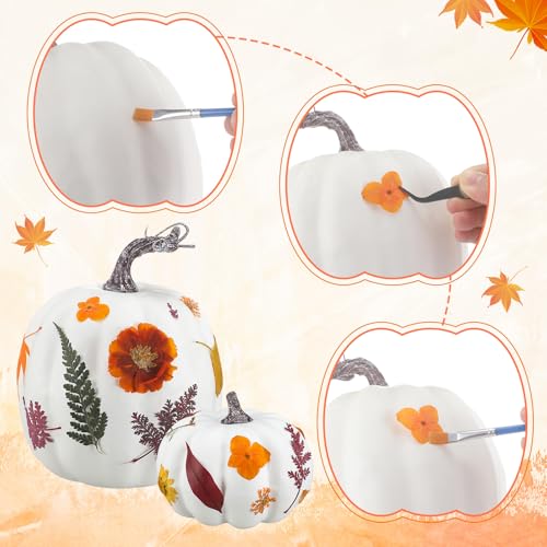 Set DIY de Calabazas Otoñales 54 Piezas Suncalla miniatura 3