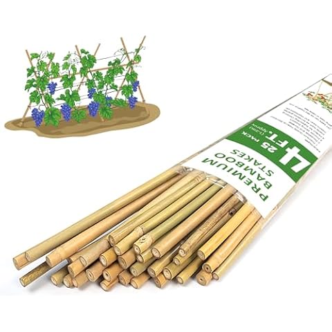 Plant Stakes,4FT Longer Sturdy Natural Bamboo Garden Stakes,GAGINANG 25Pcs Bamboo Sticks Trellis Support for Tomato, Vegetables Beans Trees Climbing Plants Cover