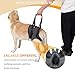 Dog Halter Harnesses, Adjustable Lift Hanress For Large Dogs, Dog Sling For Medium Dogs Hind Leg Support To Help Rehabilitate, Soft Padded Dog Support Harness For Elderly, Injured, Arthritic(Medium)