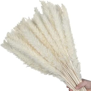 Dried Pampas Grass 30 Pcs, Pompous Grass for Vase Flower Arrangement Wedding Kitchen Home Decor(White)