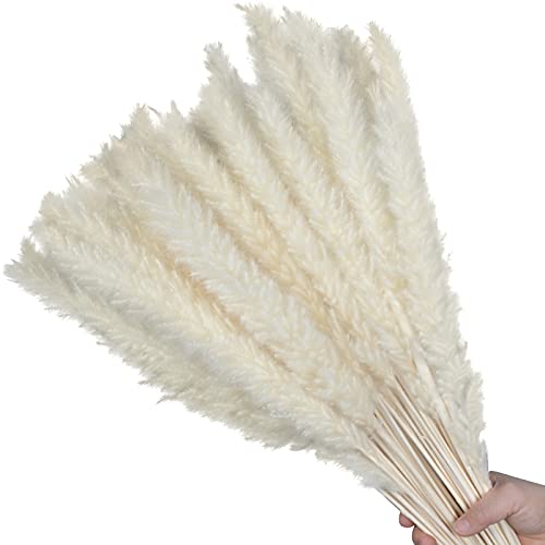 Dried Pampas Grass 30 Pcs, Pompous Grass for Vase Flower Arrangement Wedding Kitchen Home Decor(White)