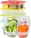 Meal Prep Haven 4-Compartment Snack Box, 6-Pack Food Container Set, Plastic Food Storage Containers with Lids, Reusable Food Containers for Meal Prepping, Stackable Meal Prep Containers with Dividers