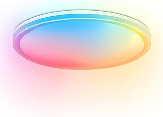 Smart LED Ceiling Light 12 Inch