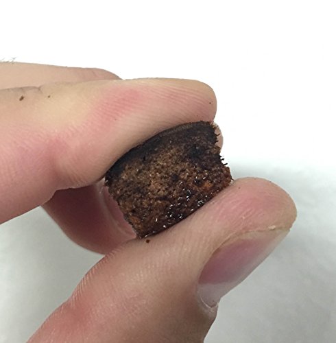 ReptiChip Compressed Coconut Chip Substrate for Reptiles 72 Quart Coco Chips Brick Bedding (1 Breeder Block) - Image 3