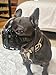 L&J Pets Uk Maulkorb für Französische Bulldogge, leichtes Leder (Braun)