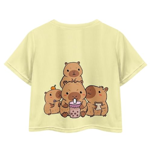 Image of Girls Crop Tees Crew Neck Casual Short Sleeve T Shirts Kids Loose Soft Comfortable Tees Blouses Shirt for Little Girl