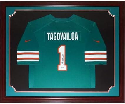 Miami dolphin memorabilia Clearance