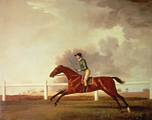 Impression sur toile George Stubbs peinture Bay Malton pour une chambre elegant au style nordique