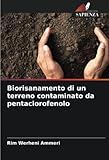 biorisanamento di un terreno contaminato da pentaclorofenolo