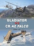 Gladiator vs CR.42 Falco: 194041 (Duel, 47)