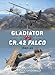 Gladiator vs CR.42 Falco: 194041 (Duel, 47)