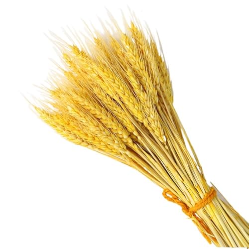 Ramo de Hierba Pampas Grande Seco Decorativo 30 piezas miniatura 1