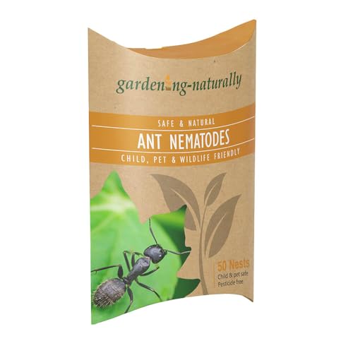 Ant Nematodes Safe Natural Product to Get Rid of Ants Treats 50 Nests Gardening Naturally