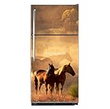 Retrouvez tous nos stickers dans notre boutique ppa-design