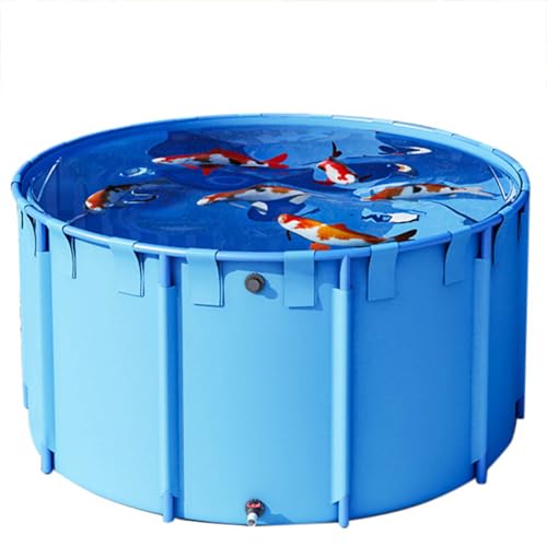 Piscina plegable para peces koi y estanque, redonda para exteriores e interiores, lona duradera con soporte, pecera portátil para koi, ideal para jardines y patios