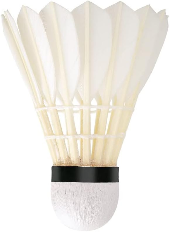 RSL No.3 Tourney Badminton Shuttlecock Birdy 12-Pack (speed-77)