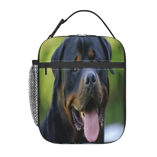|[^ufM`obOBhEhRdlŁAX^CbVŏvBdAwZAAEghAɍœKBjpiRottweiler1j
