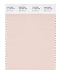 PANTONE SMART 12-1206X Color Swatch Card, Silver Peony