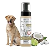 Wahl Canada No Rinse Shampoo for Dogs, Oatmeal Formula Shampoo in Coconut, Lime, Verbena to Condition Your Dog’S Coat, Relieves Itching, Waterless Shampoo, Foam Dispenser, 210ml, Model 59400