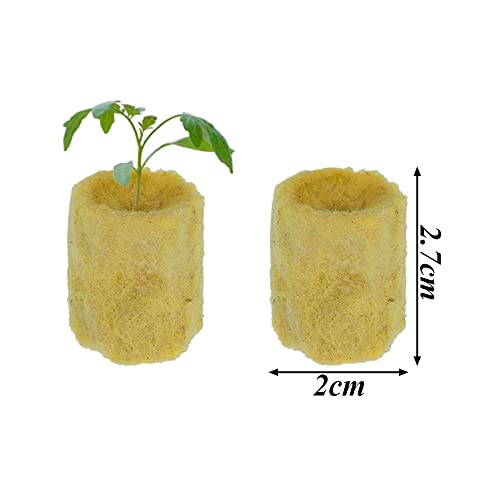Gativs Steinwolle 50 Stück Steinwolle Anzucht Rockwool Cube Steinwolle Plugs Steinwolle Pflanzenstopfen Steinwolle Cube Hydroponic Sämling Steinwolle für Die Aussaat Steinwolle Würfel Anzuchterde