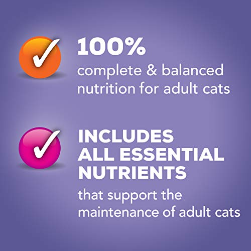 Purina Friskies Pate Wet Cat Food Variety Pack Seafood and Chicken Pate Favorites 40ct VP - (Pack of 40) 5.5 oz. Cans