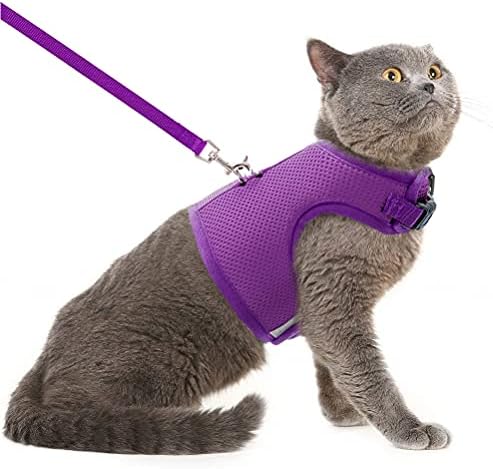 Small cat harness amazon Clearance