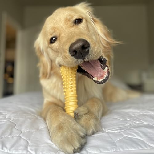 Image of Nylabone Power Chew Customer Favorites Dog Chew Toys, 3 Count, Large | Flavor Medley, peanut butter, and beef flavor, durable dog toys for aggressive chewers, for large breeds up to 50 lbs