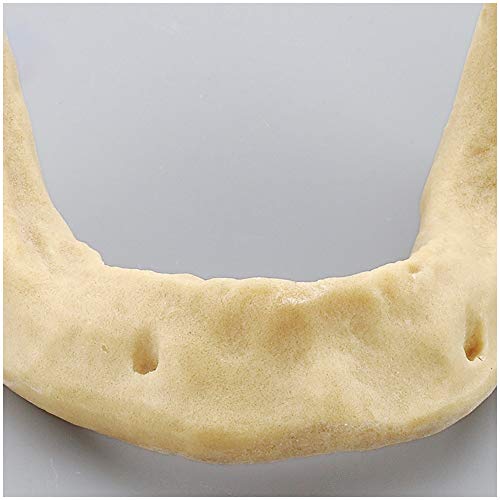 Modèle d'implant mandibulaire : formation au forage sans risque