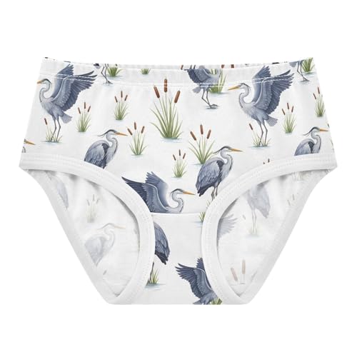 Joisal Toddlers Underwear Floral 2t Cotton Girl Panties Cute Durable Briefs Girls Undies Watercolor White Birds