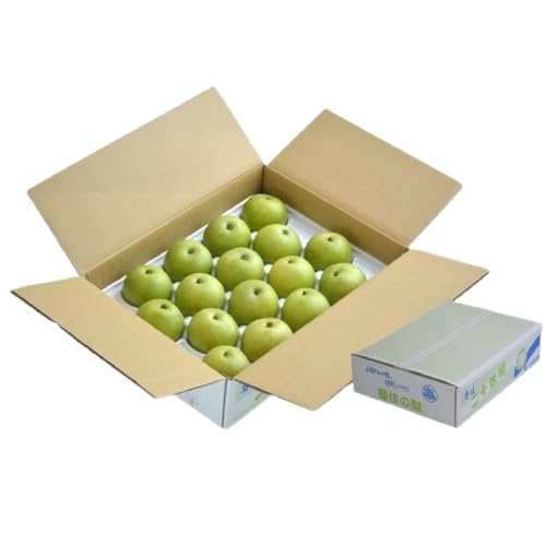 [先行予約]梨 20世紀梨 香住梨 5kg 小さめ(1玉250g〜300gを16〜20玉)8月下旬〜9月中旬までにお届け JAたじま 12-09