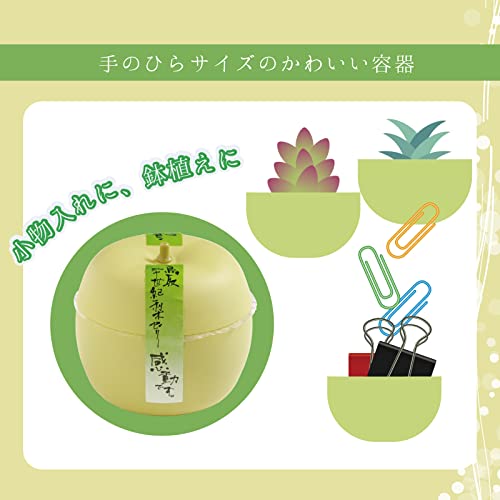 寿製菓 鳥取二十世紀梨ゼリー感動です。 (2個入) お中元 贈り物 ギフト 8枚目