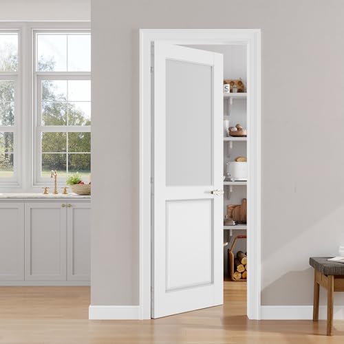 SMARTSTANDARD 28x80 Frosted Glass Interior Door Slab