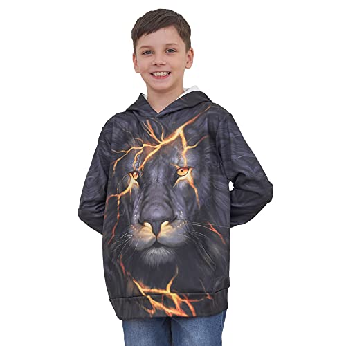 Newcosplay Unisex Kids Hooded Realistic 3D Galaxy Digital Print Sweatshirt Baseball Jersey For Boys Girls(Flash Lion, L) #TOP2