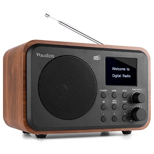 Audizio Milan - Radio Dab portátil con Bluetooth, Radio Despertador con Batería 2000 mAh, Salida...