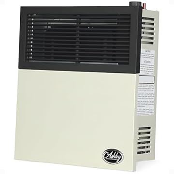 best direct vent propane heater