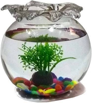 Generic Kiran Crystal Clear Glass Fish or Terrarium Round Bowl (10) (B0BR1CFWWK) Amazon Price History, Amazon Price Tracker