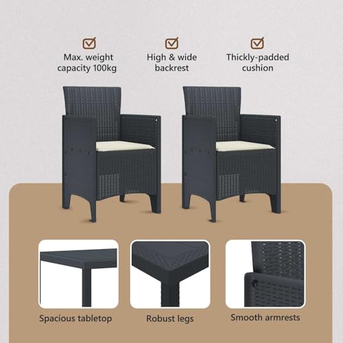 Ensemble de salle à manger pour jardin anthracite 3 pcs avec table et chaises légères vidaXL