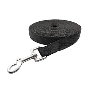 Nylon Training Dog Leash for Small Medium Large Dogs 15ft 20ft 30ft 50ft Long Puppy Lead for Obedience Recall Training Camping 20ft Black  Cucciolini Doodles Nylon training dog leash for small medium large dogs 15ft 20ft 30ft 50ft long puppy lead for obedience recall training camping 20ft black   cucciolini doodles