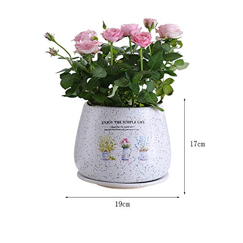 Macetas de jardín de cerámica europea para decorar tu mesa interior 5