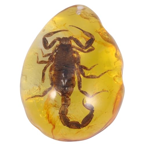 TEHAUX Colgante de Ámbar Espécimen de Escorpión Piedra de Ámbar Natural Diseño en Forma de Gota Amuleto Decorativo para Joyería y Colección Color Aleatorio