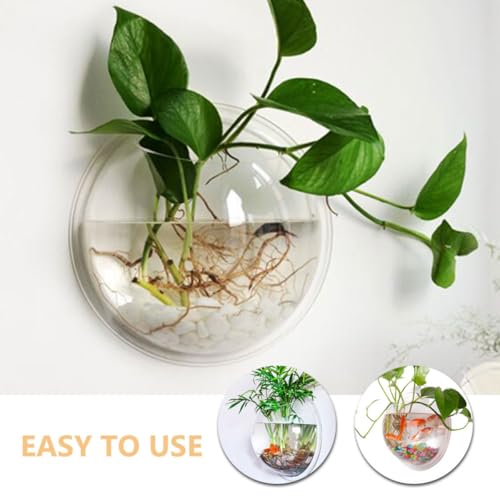 Aquarium mural en acrylique transparent suspendu pot fleur rond