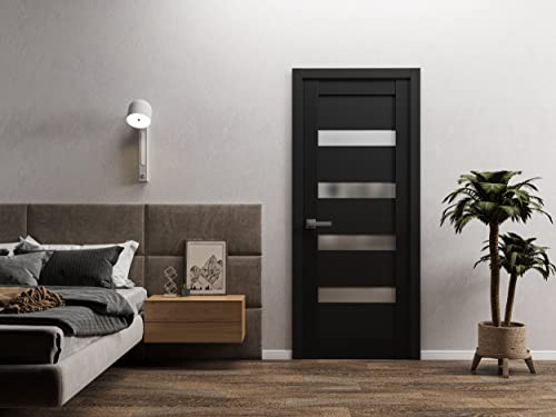 Interior Solid Door 28 X 80 Inches | Quadro 4113 Matte Black Frosted Glass | Single Regular Panel Frame Trims Handle | Bathroom Bedroom Sturdy Doors #TOP1